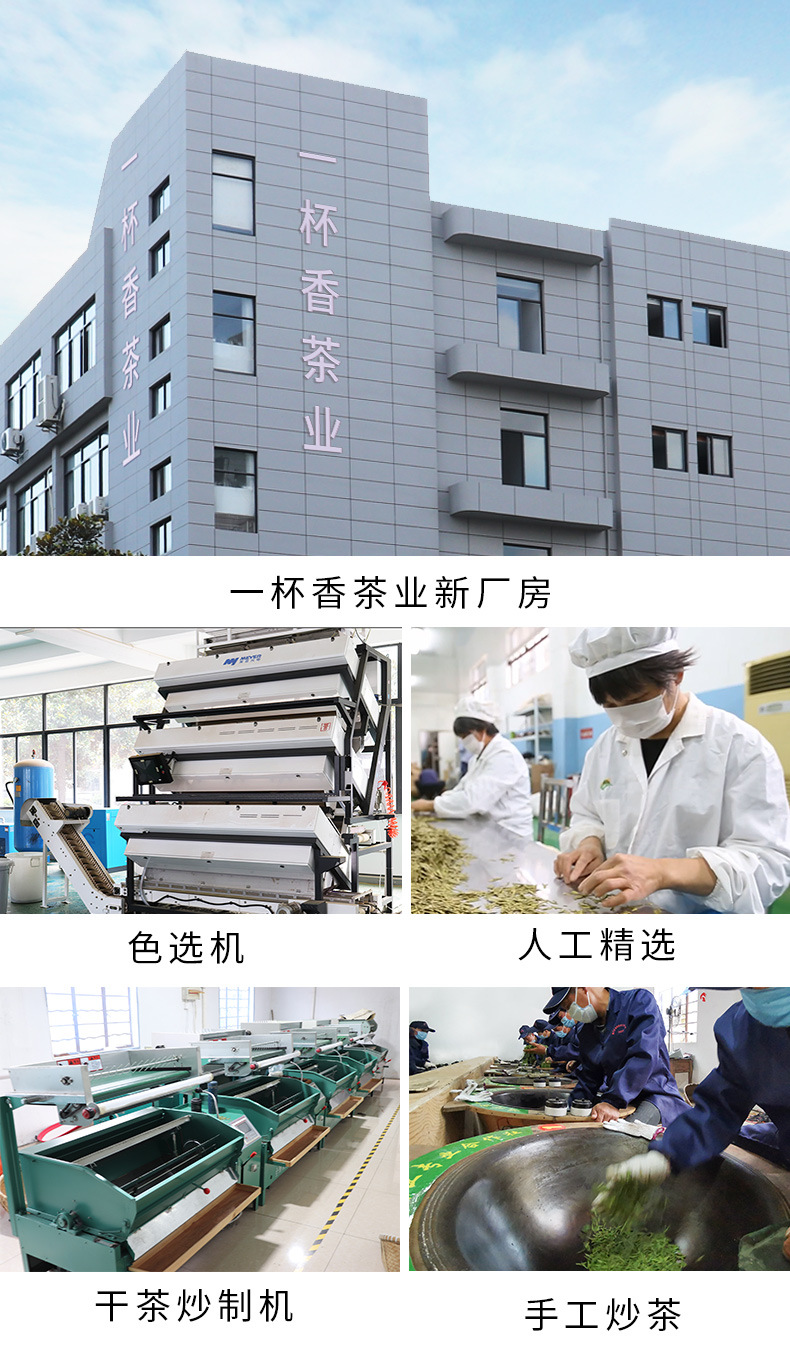 龙井_15