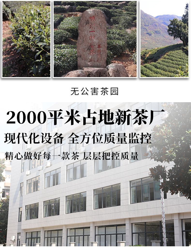 龙井_14