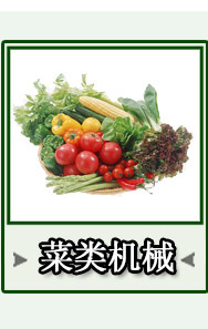 供应商业 洗姜净菜清洗果蔬清洗去皮毛刷机 生产厂家