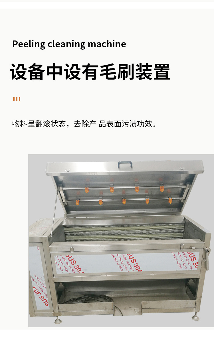 九棍去皮清洗机_06.jpg
