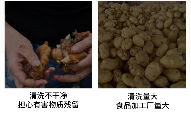 九棍去皮清洗机_03.jpg