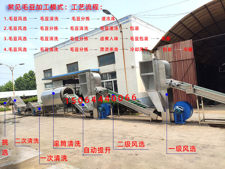 毛豆加工流程