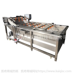 清洗净菜设备 南瓜方瓜玉瓜加工清洗流水线 不锈钢多功能清洗设备