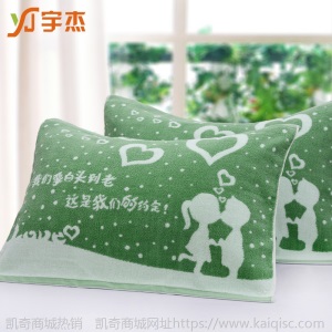 一对装棉无捻起毛毛圈枕巾成人枕头巾保暖透气吸湿卡通两条装枕巾