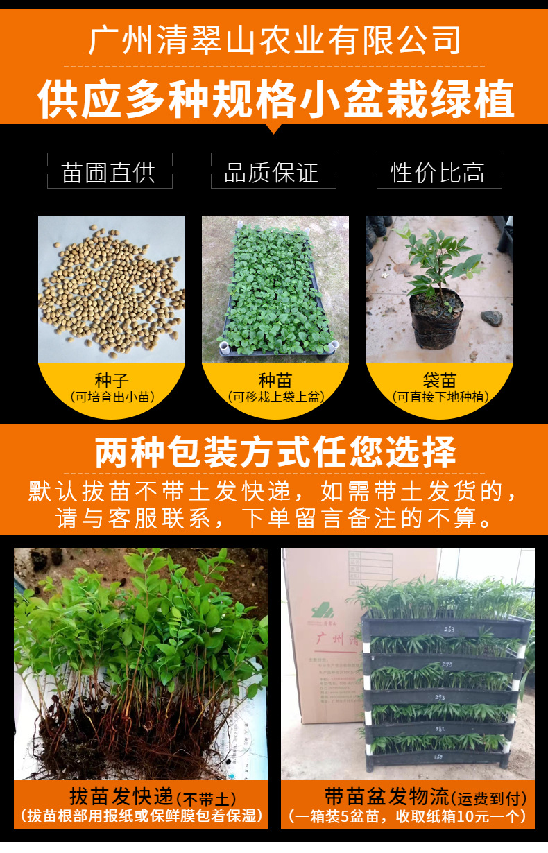 1.种苗包装图1
