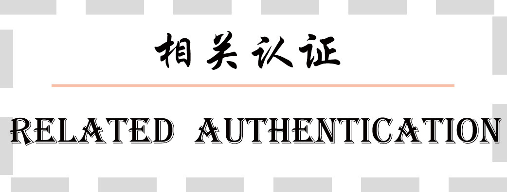 模板-相关认证.jpg