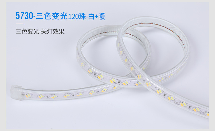灯带_15.jpg