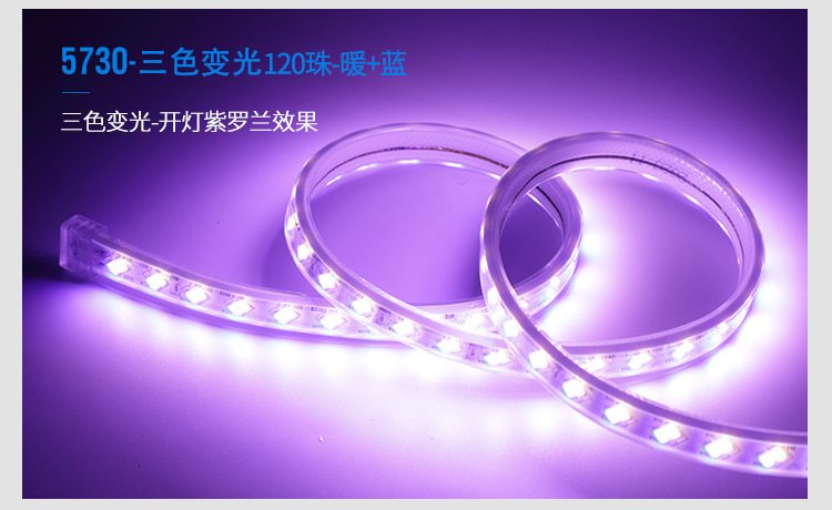 灯带_18.jpg