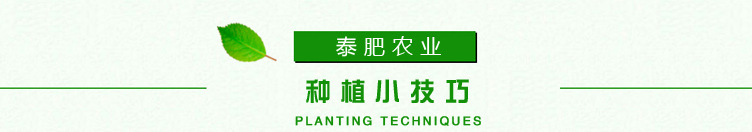 布鲁克斯_16