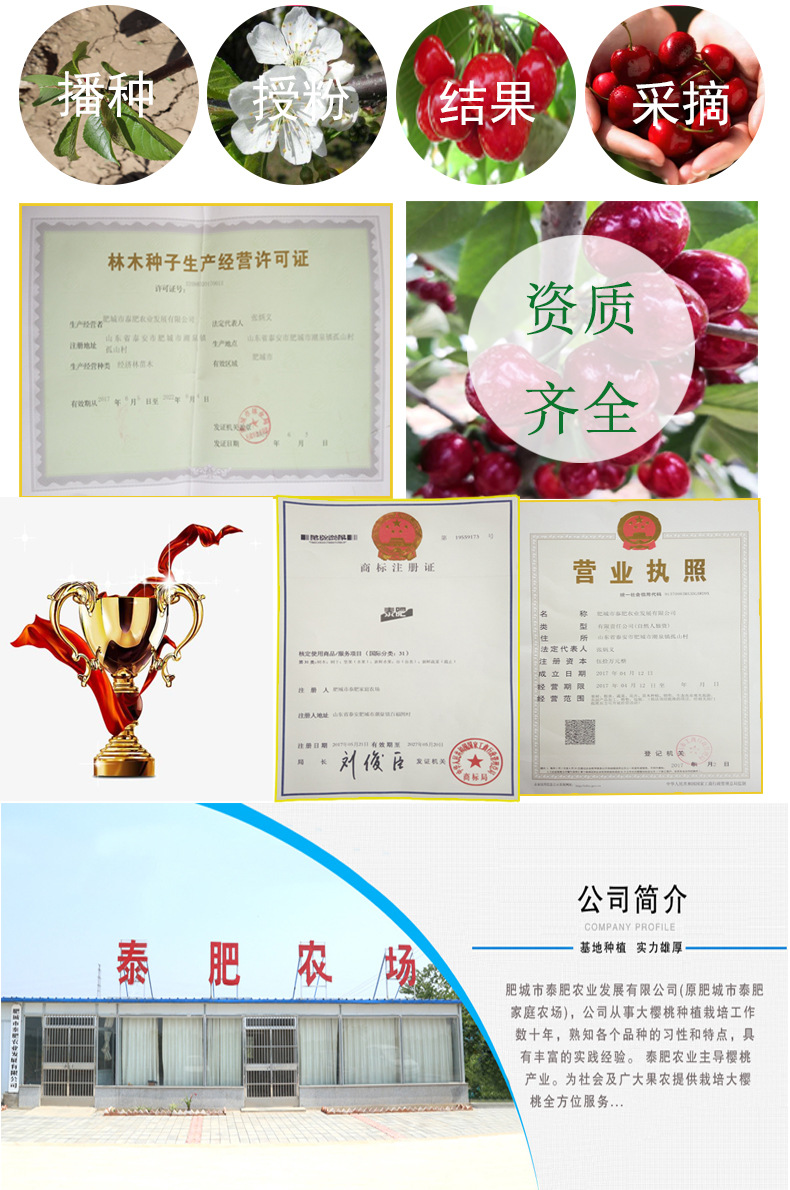 详情12.jpg