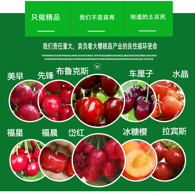 详情4.jpg