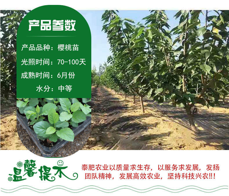 详情3.jpg