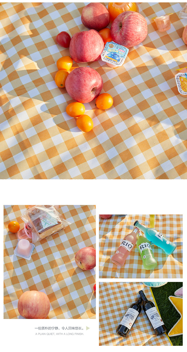 野餐垫_13.jpg
