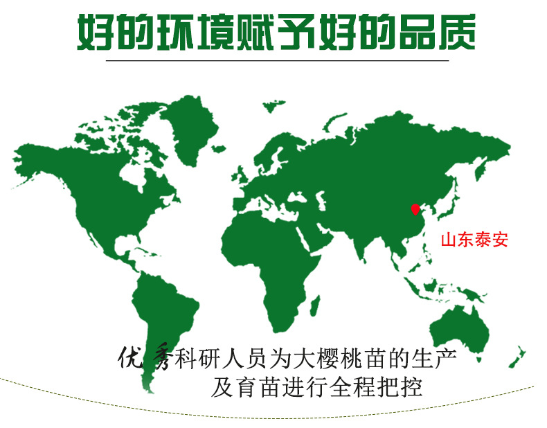 详情5.jpg
