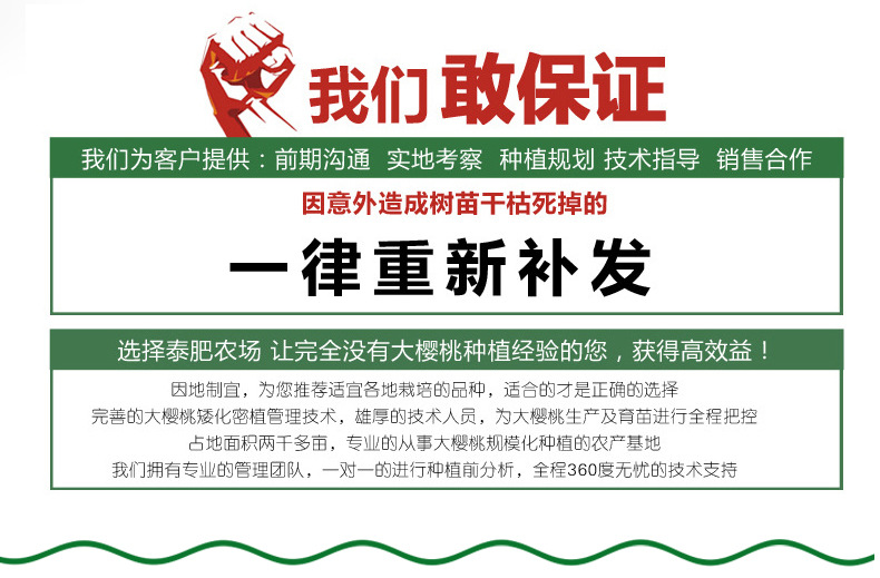 详情8.jpg