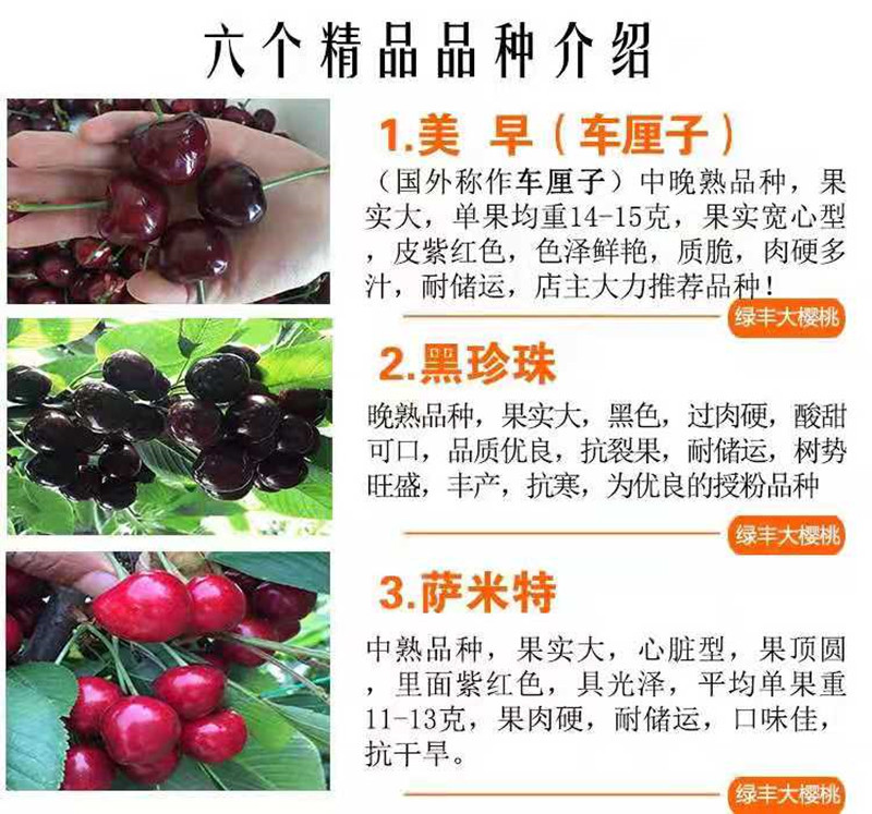 7042440f55d6a527c6f477b9cbc63d