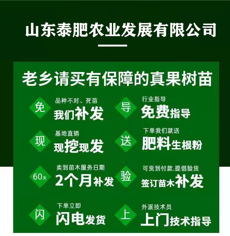 4ffc04c2980a7561881a7e85b26670