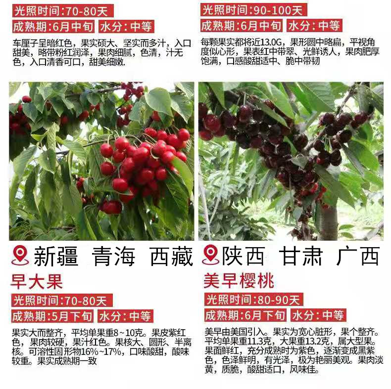 南方2_副本_副本.jpg