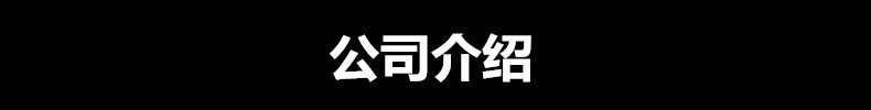 公司介绍