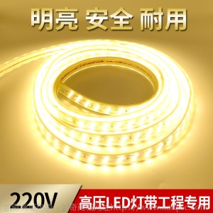 LED灯带5730高压防水户外灯条2835三排双排led客厅220V柔性软灯带