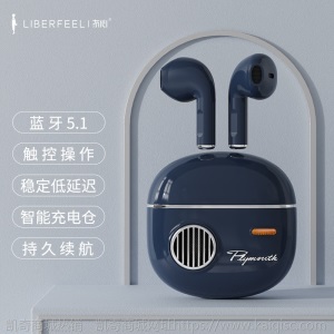 冇心  凯奇无线蓝牙耳机 5.1降噪电竞游戏耳机 TWS运动蓝牙耳机