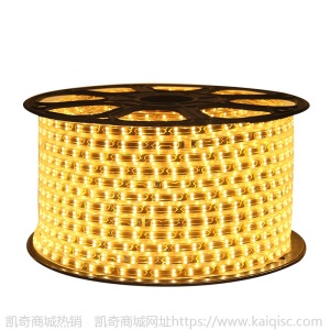 led灯带5050 工程家装2835三排5730双排24v户外防水220v灯条七彩