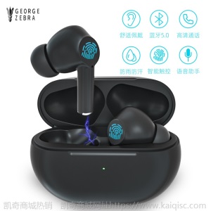 新款私模ANC主动降噪TWS无线蓝牙耳机适用于苹果华为三星凯奇专供