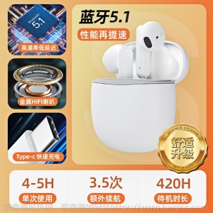 havit/海威特S2新款私模凯奇无线蓝牙耳机tws5.1半入耳式蓝牙耳机