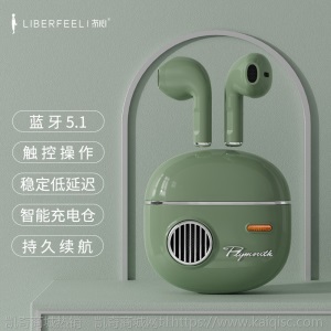 冇心  凯奇无线蓝牙耳机 5.1降噪电竞游戏耳机 TWS运动蓝牙耳机