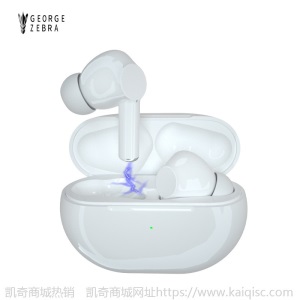新款私模ANC主动降噪TWS无线蓝牙耳机适用于苹果华为三星凯奇专供