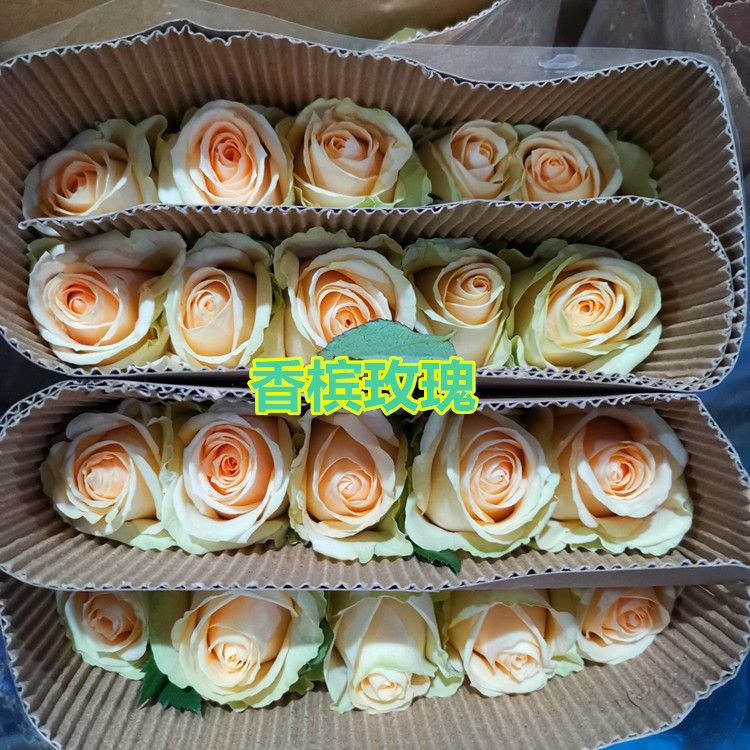 IMG_20200612_212051_副本