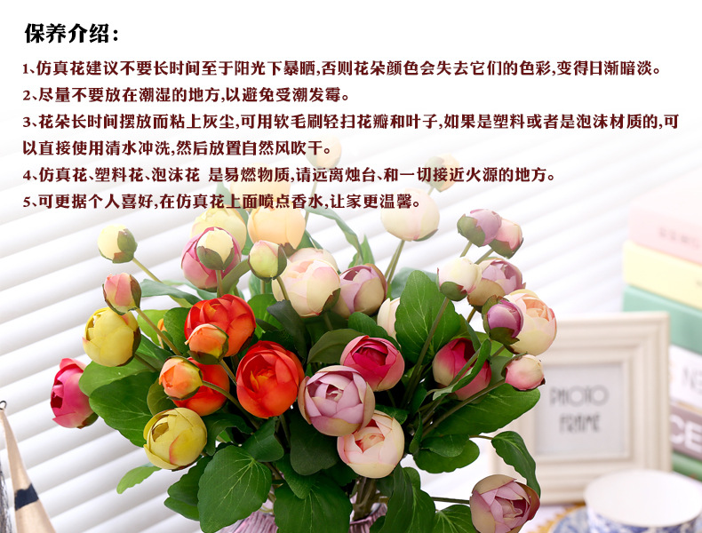 保养说明