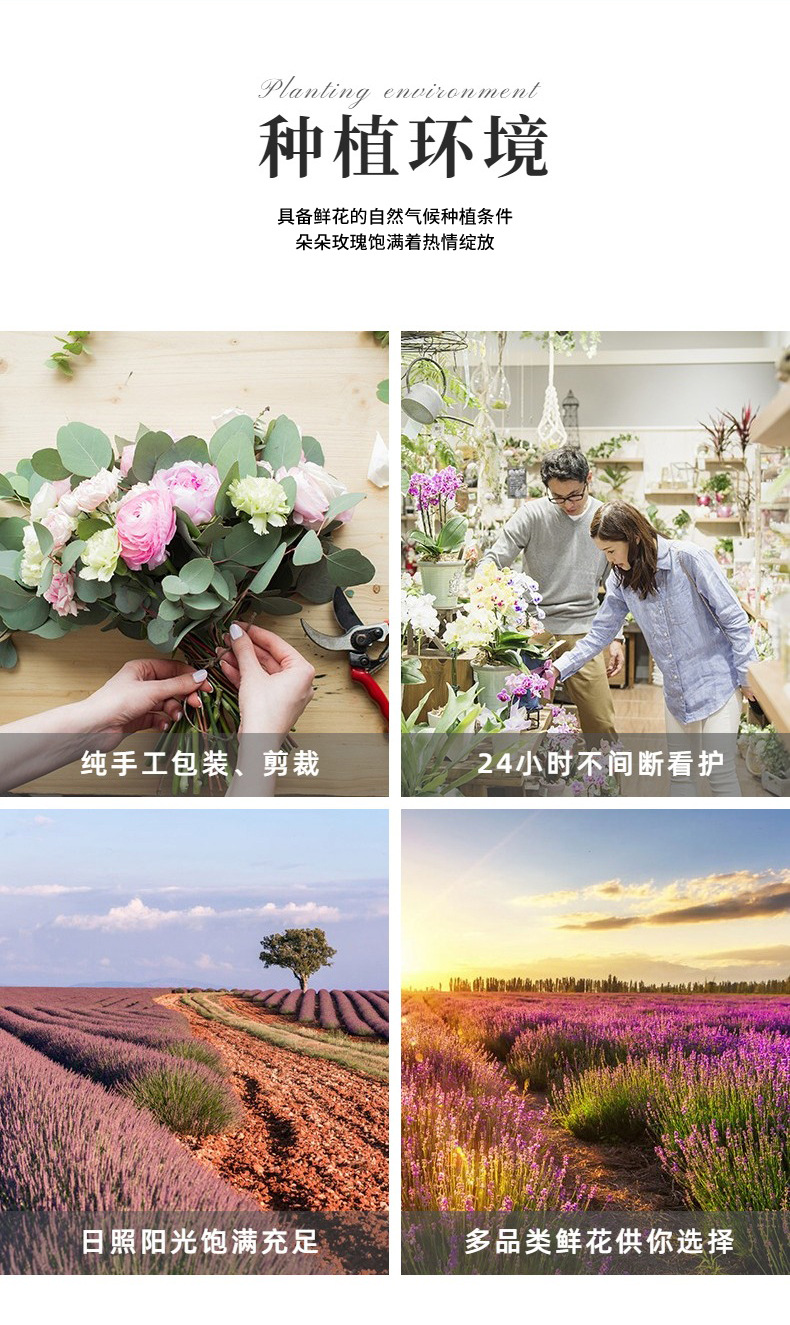 清新简约鲜花详情页_08.jpg