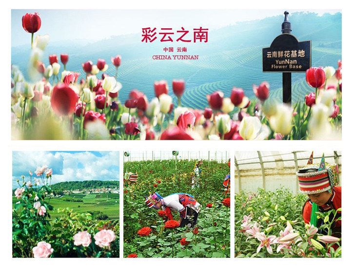 详情首页