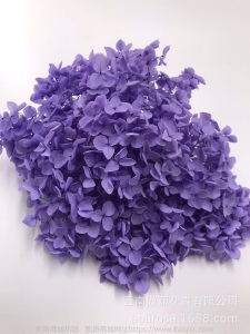 云南鲜花直批永生花木绣球/保鲜花真花干花塔型盒装绣球厂家批发