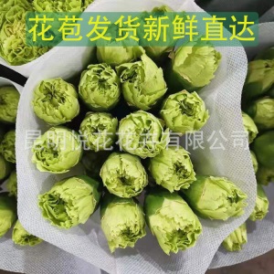 康乃馨鲜花云南基地鲜花直批专供花店婚庆用花家庭插花 量大咨询