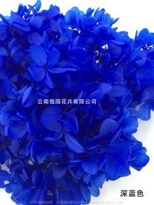 云南鲜花直批永生花木绣球/保鲜花真花干花塔型盒装绣球厂家批发