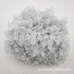 云南鲜花直批永生花木绣球/保鲜花真花干花塔型盒装绣球厂家批发