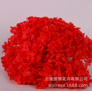 云南鲜花直批永生花木绣球/保鲜花真花干花塔型盒装绣球厂家批发