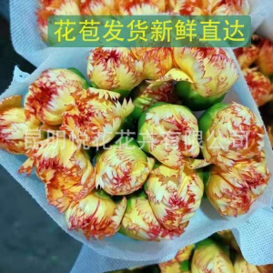 康乃馨鲜花云南基地鲜花直批专供花店婚庆用花家庭插花 量大咨询
