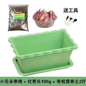 热卖水培香葱种头四季小葱种籽家庭阳台种菜盆栽蔬菜苗葱种子葱头