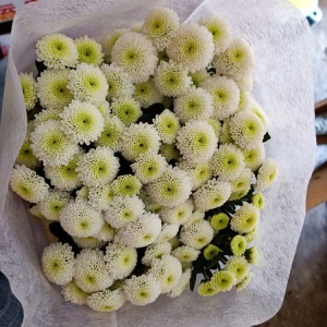 云南昆明小雏菊鲜花批发基地直发新鲜家用花店婚庆直批办公室插花