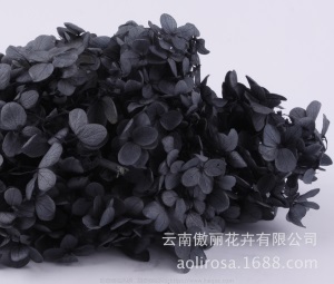 云南鲜花直批永生花木绣球/保鲜花真花干花塔型盒装绣球厂家批发