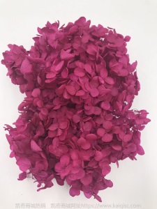 云南鲜花直批永生花木绣球/保鲜花真花干花塔型盒装绣球厂家批发