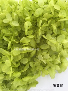 云南鲜花直批永生花木绣球/保鲜花真花干花塔型盒装绣球厂家批发