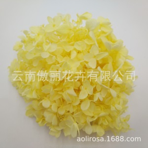 云南鲜花直批永生花木绣球/保鲜花真花干花塔型盒装绣球厂家批发