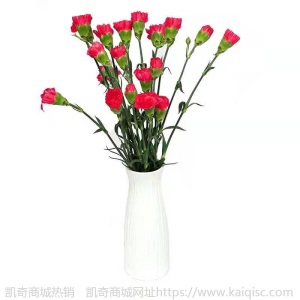 康乃馨鲜花云南基地鲜花直批专供花店婚庆用花家庭插花 量大咨询