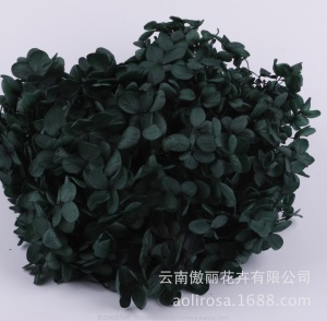 云南鲜花直批永生花木绣球/保鲜花真花干花塔型盒装绣球厂家批发