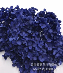 云南鲜花直批永生花木绣球/保鲜花真花干花塔型盒装绣球厂家批发