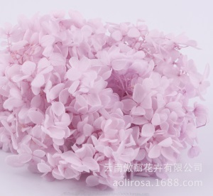 云南鲜花直批永生花木绣球/保鲜花真花干花塔型盒装绣球厂家批发
